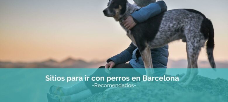 barcelona con perros