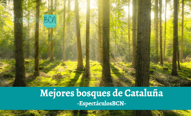 bosques de Cataluña