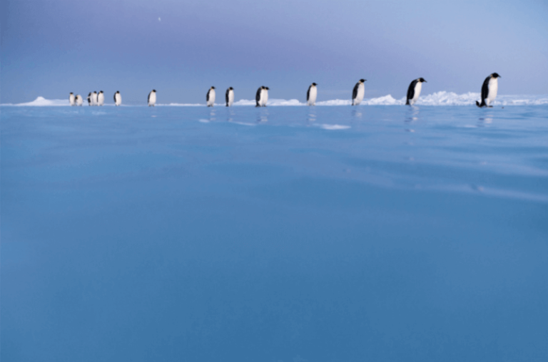 Antarctica Experience barcelona (1) (1)