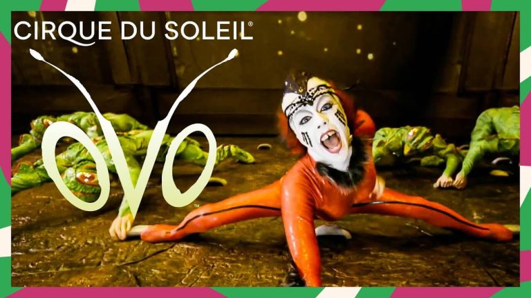 ovo cirque soleil tarragona 2025