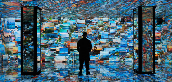 Beyond the Façade casa batllo