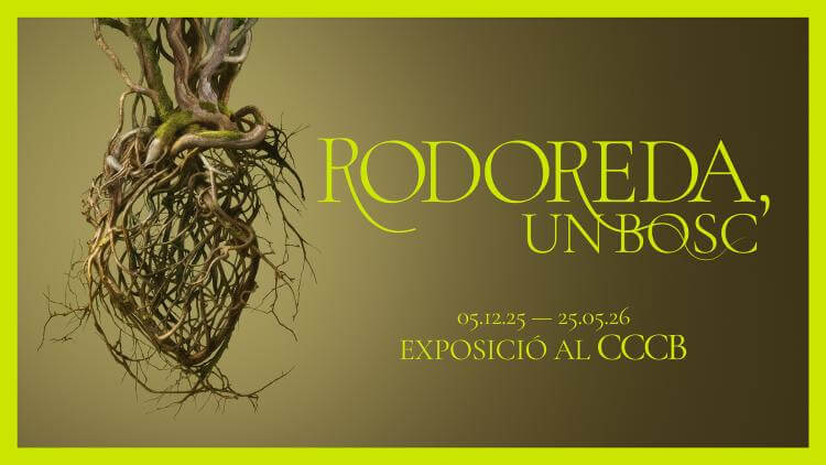 rodoreda un bosc